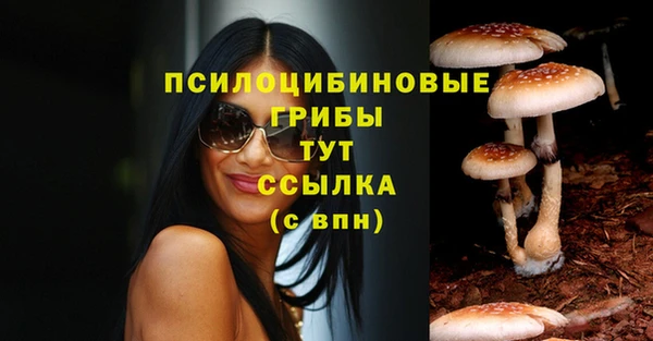прущий лед Белокуриха