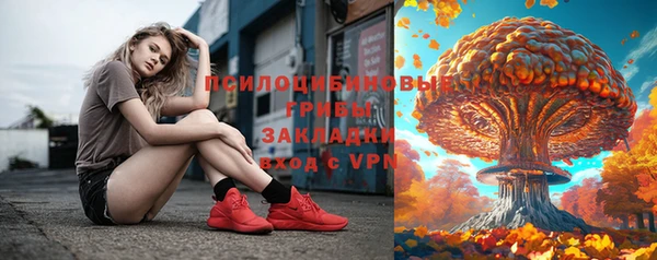 прущий лед Белокуриха