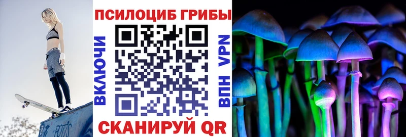 гидра как зайти Магас Псилоцибиновые грибы Psilocybine cubensis